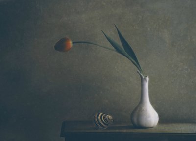  de Delphine Devos