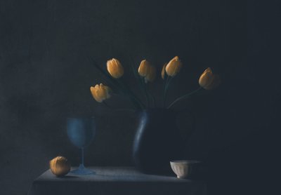  de Delphine Devos