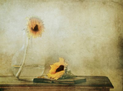  de Delphine Devos