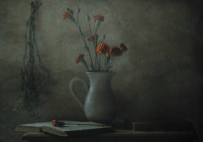 de Delphine Devos