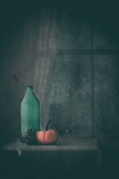 Naturaleza muerta de otoño lluvioso de Delphine Devos