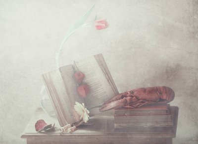 de Delphine Devos