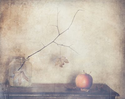  de Delphine Devos