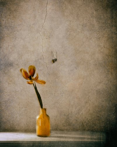  de Delphine Devos