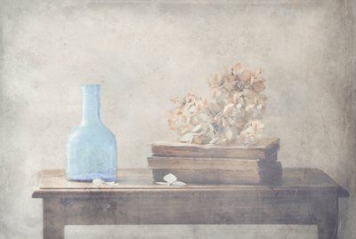  de Delphine Devos