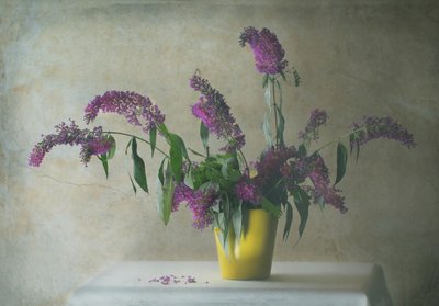  de Delphine Devos