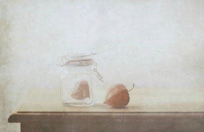  de Delphine Devos