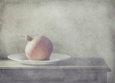  de Delphine Devos