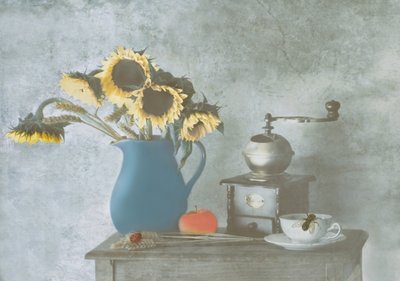  de Delphine Devos