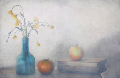  de Delphine Devos