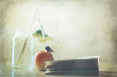  de Delphine Devos