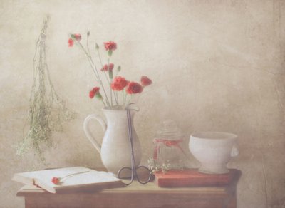  de Delphine Devos
