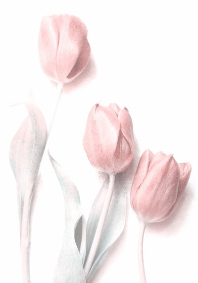  de Delphine Devos