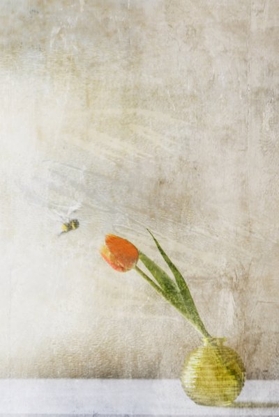  de Delphine Devos