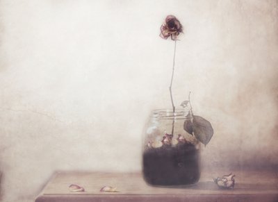  de Delphine Devos