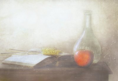  de Delphine Devos