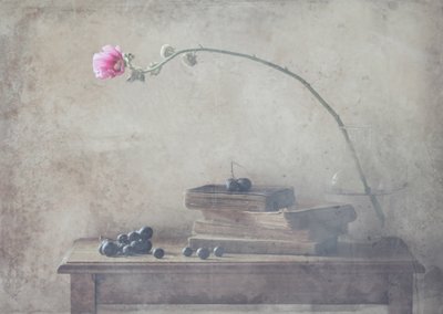  de Delphine Devos