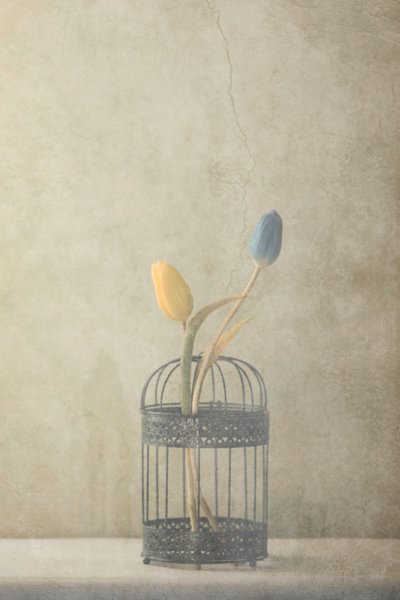  de Delphine Devos