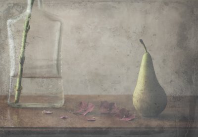  de Delphine Devos