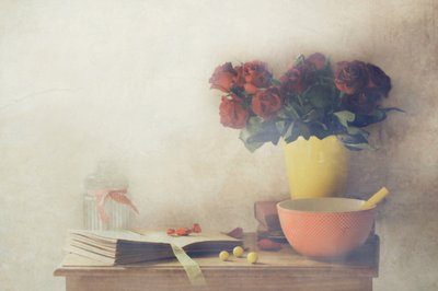  de Delphine Devos