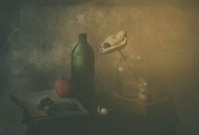  de Delphine Devos