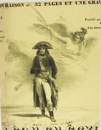 Napoleón en Egipto de Denis Auguste Marie Raffet