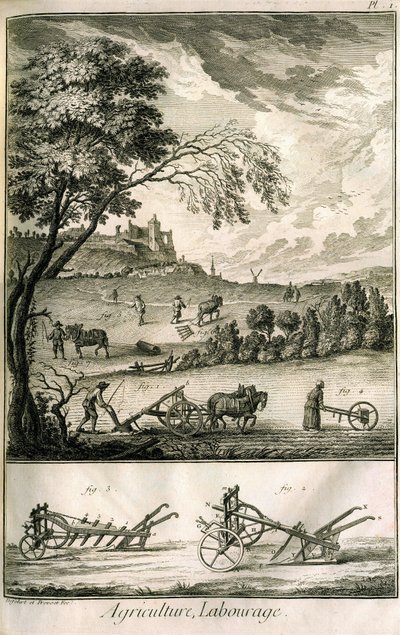 Trabajo de campo - Agricultura, siembra, arado. Varios modelos de rodillos y arados: Placa de un volumen de ilustraciones de la Enciclopedia de Diderot, edición original 1762 de Denis Diderot