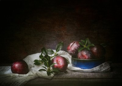 Naturaleza muerta con ciruelas melancólicas de Denis O Reilly
