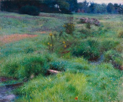 El arroyo de Medfield de Dennis Miller Bunker