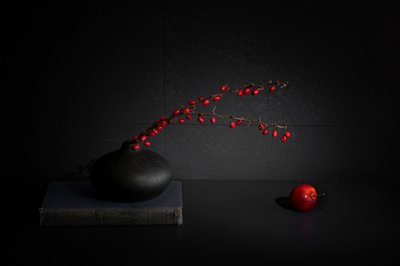 Naturaleza muerta con bayas rojas en un jarrón negro de Dennis Zhang