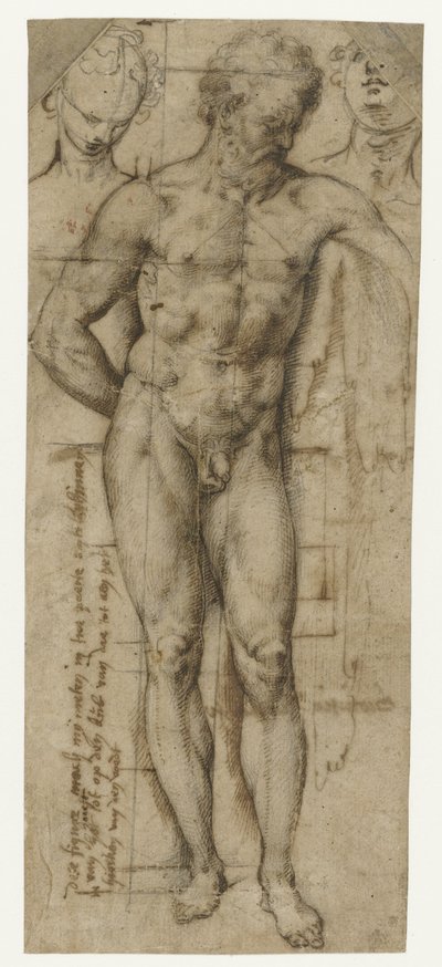 Estudio de un hombre desnudo (¿Hércules?) y dos cabezas de mujer de Denys Calvaert