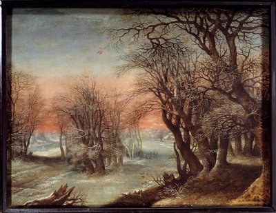 Paisaje de invierno de Denys van Alsloot