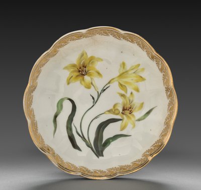 Tazón del servicio de postres: Lirio amarillo más pequeño, c. 1800 de Derby