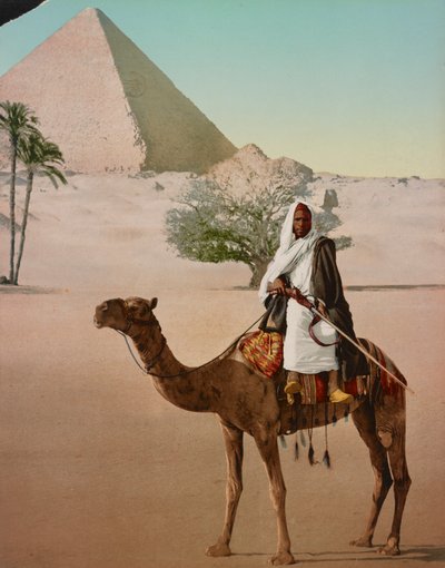 Beduino en un Camello y la Gran Pirámide, El Cairo, Egipto de Detroit Photographic Co.