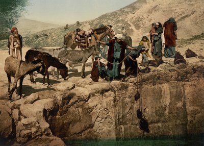 Beduinos sacando agua, Tierra Santa de Detroit Photographic Co.