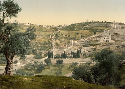 Monte de los Olivos y Getsemaní, vista general, Jerusalén, c.1890-c.1900 (impresión fotocromática) de Detroit Photographic Co.