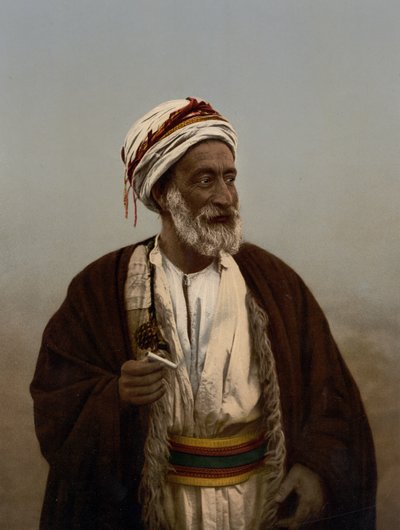 Jeque de un pueblo palestino, Tierra Santa, c.1890-c.1900 (impresión fotocromática) de Detroit Photographic Co.