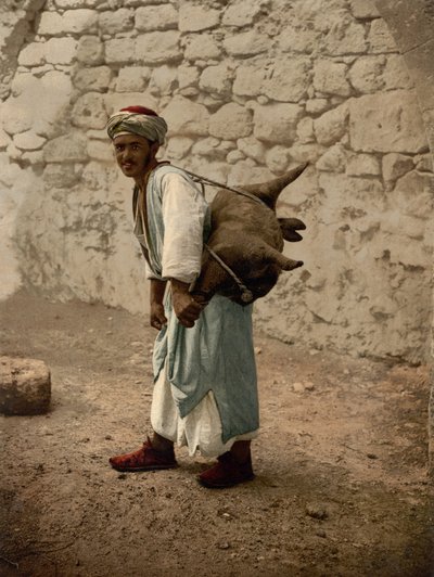 Aguador de Jerusalén, Tierra Santa, c.1890-c.1900 (impresión fotocromática) de Detroit Photographic Co.