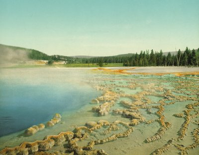 Piscina de Zafiro, Parque Nacional de Yellowstone, c.1902 de Detroit Photographic Co.