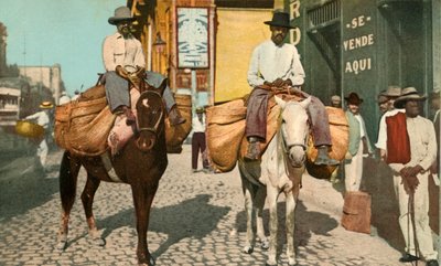Hombres de vegetales, La Habana, Cuba, 1904 de Detroit Photographic Company