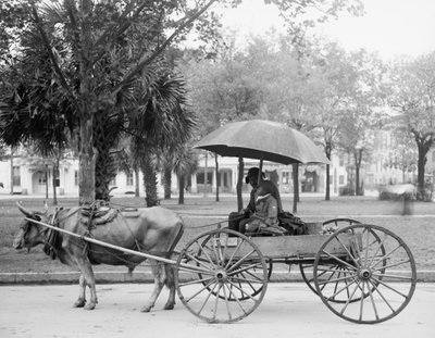 Bovinmóvil en Savannah, Georgia de Detroit Publishing Co.