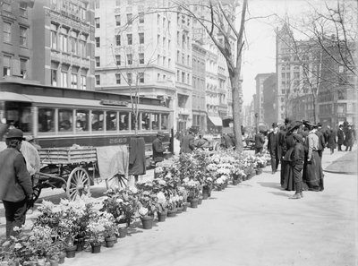 Vendedores de flores, exhibición de Pascua, Ciudad de Nueva York, EE.UU., c.1904 de Detroit Publishing Co.