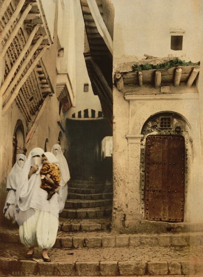 Calle de los camellos, Argel, c.1899 de Detroit Publishing Co.