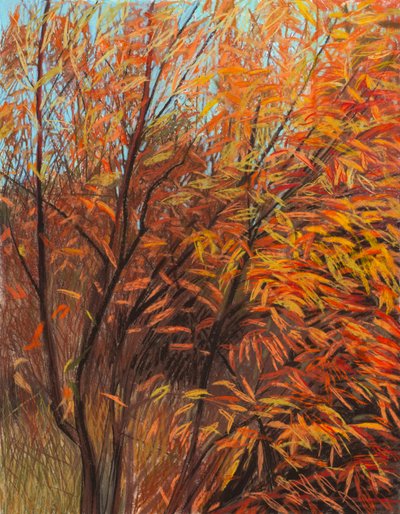 Sauce rojo 1a, 2021 (pastel sobre papel) de Diana Jahns