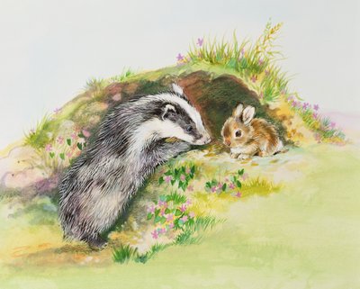 Tejón y un conejo de Diane Matthes