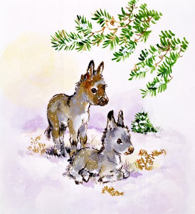 Burros de Diane Matthes