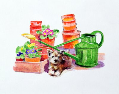Terrier entre macetas de terracota de Diane Matthes