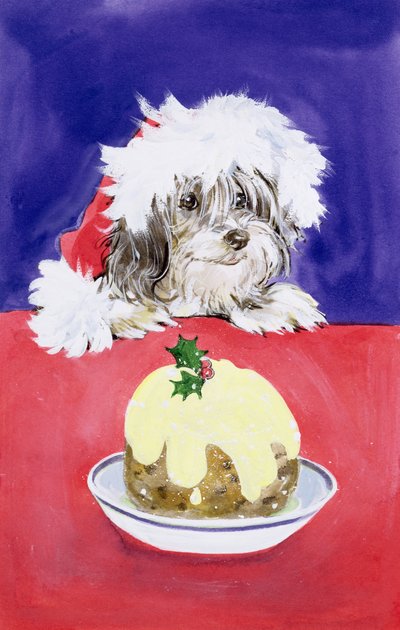 El pudín de Navidad de Diane Matthes