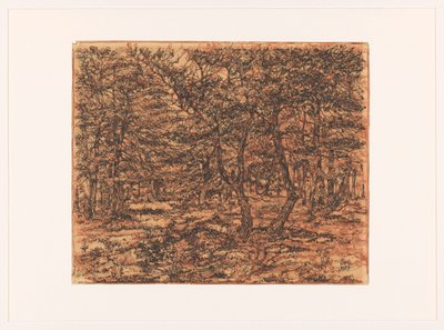 Paisaje forestal de Dick Ket (signed by artist)