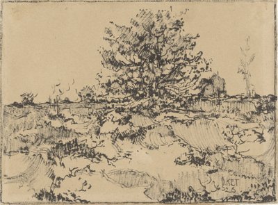 Heath cerca de Ede de Dick Ket (signed by artist)